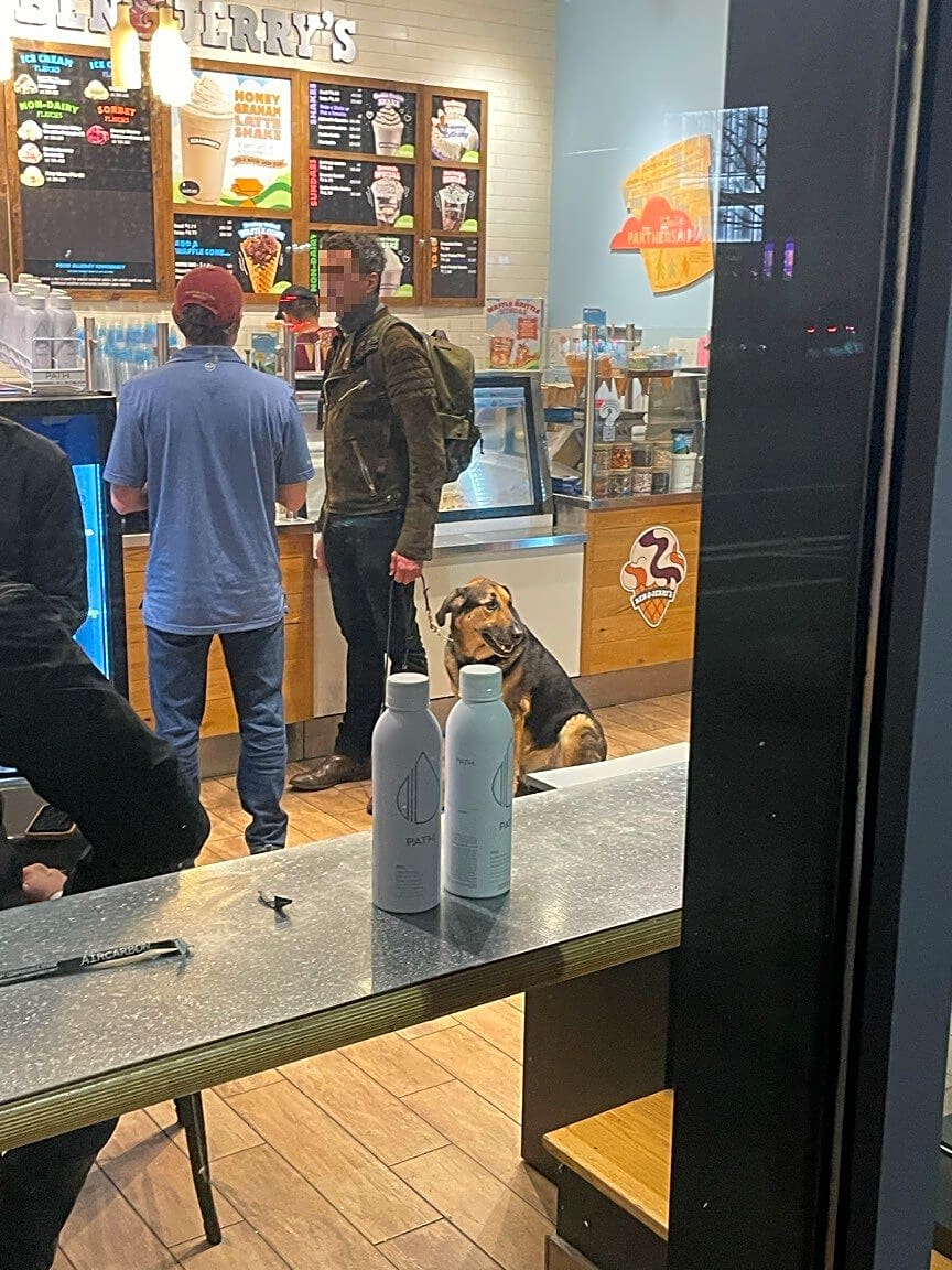 Image submitted with report