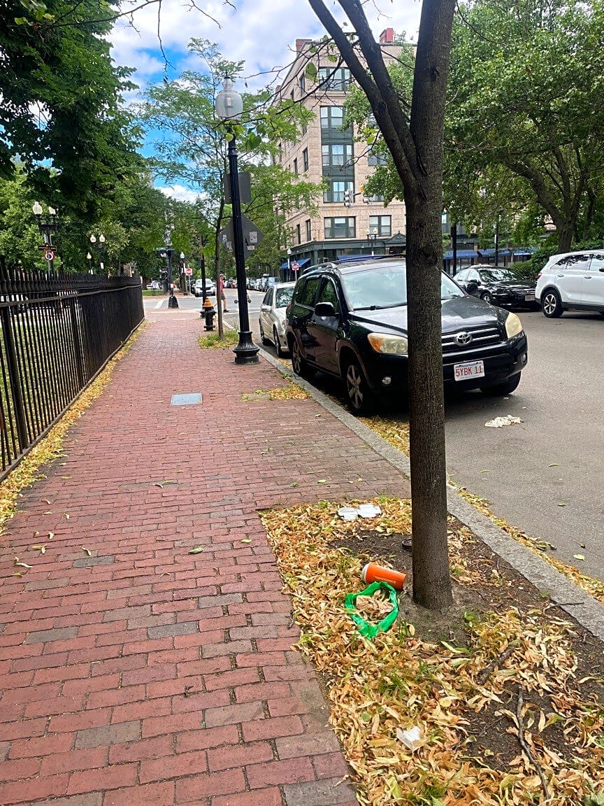 Image submitted with report