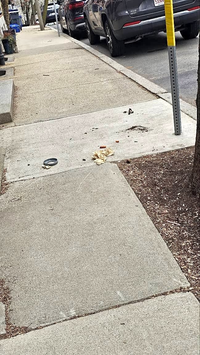 Image submitted with report