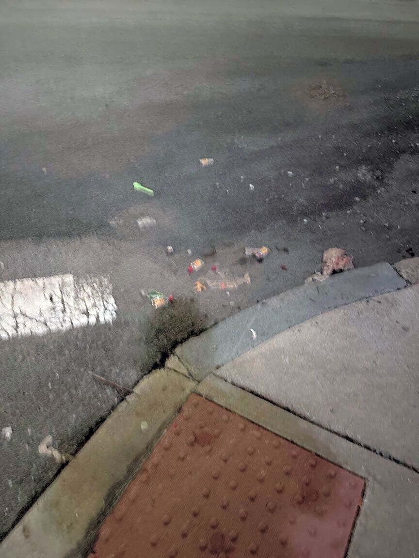 Image submitted with report