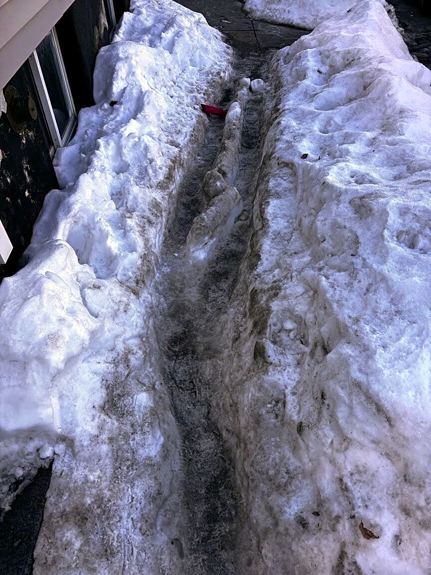 Image submitted with report