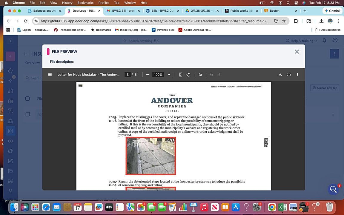 Image submitted with report