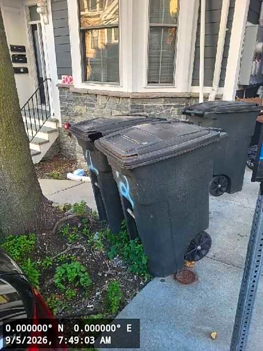 Image submitted with report