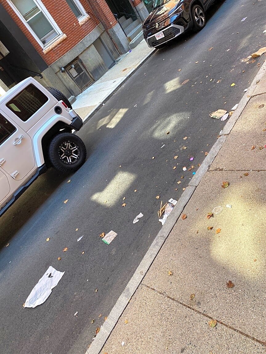 Image submitted with report