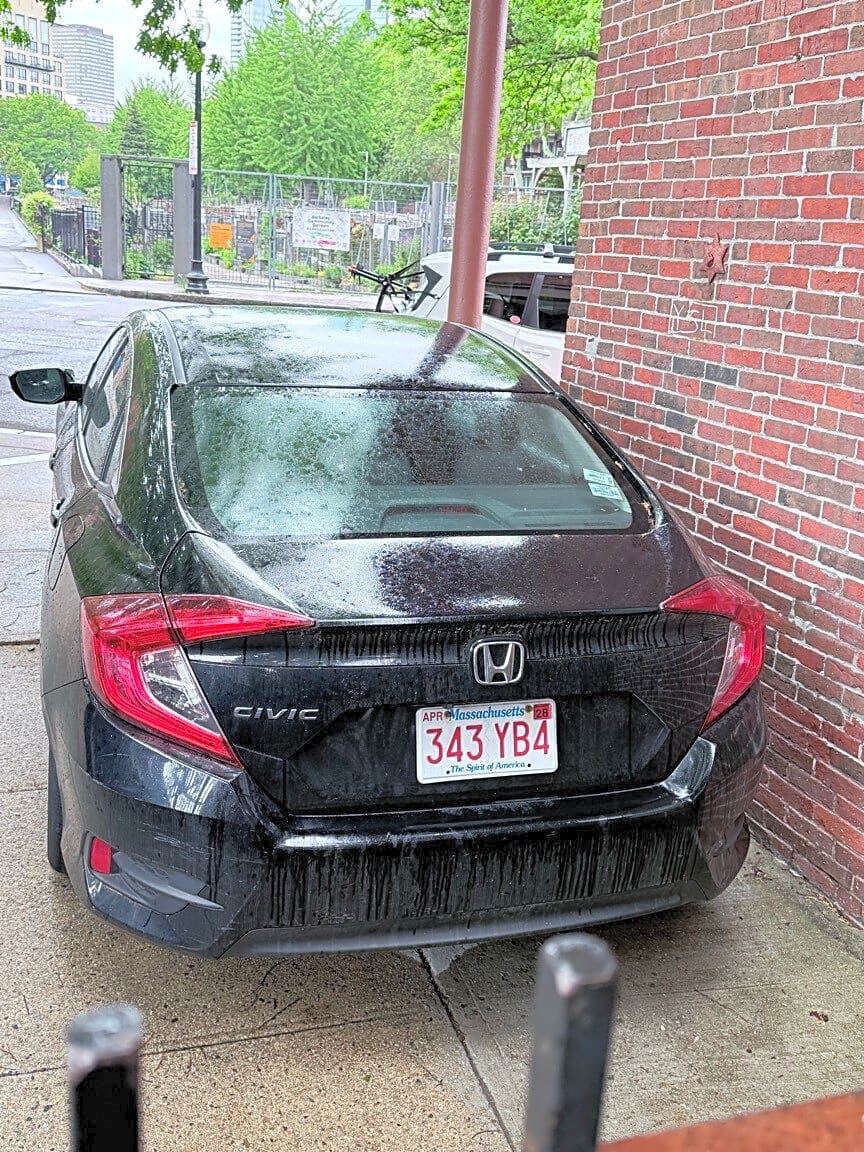 Image submitted with report