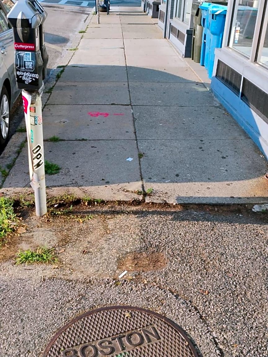 Image submitted with report