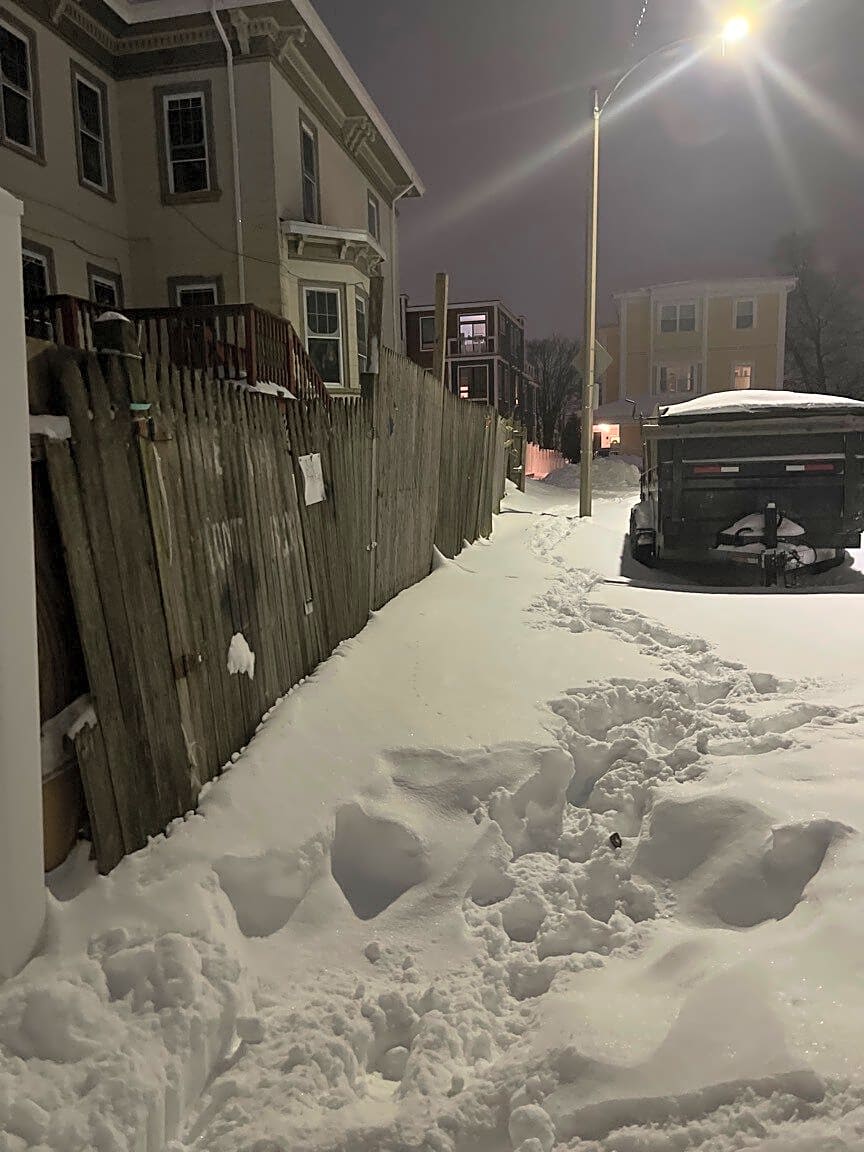 Image submitted with report