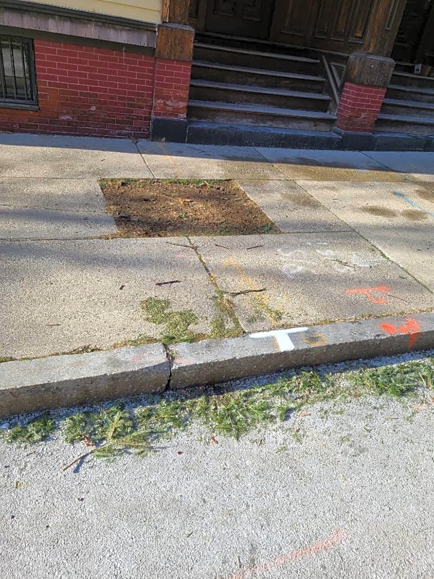 Image submitted with report