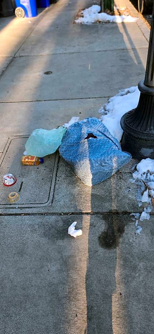 Image submitted with report