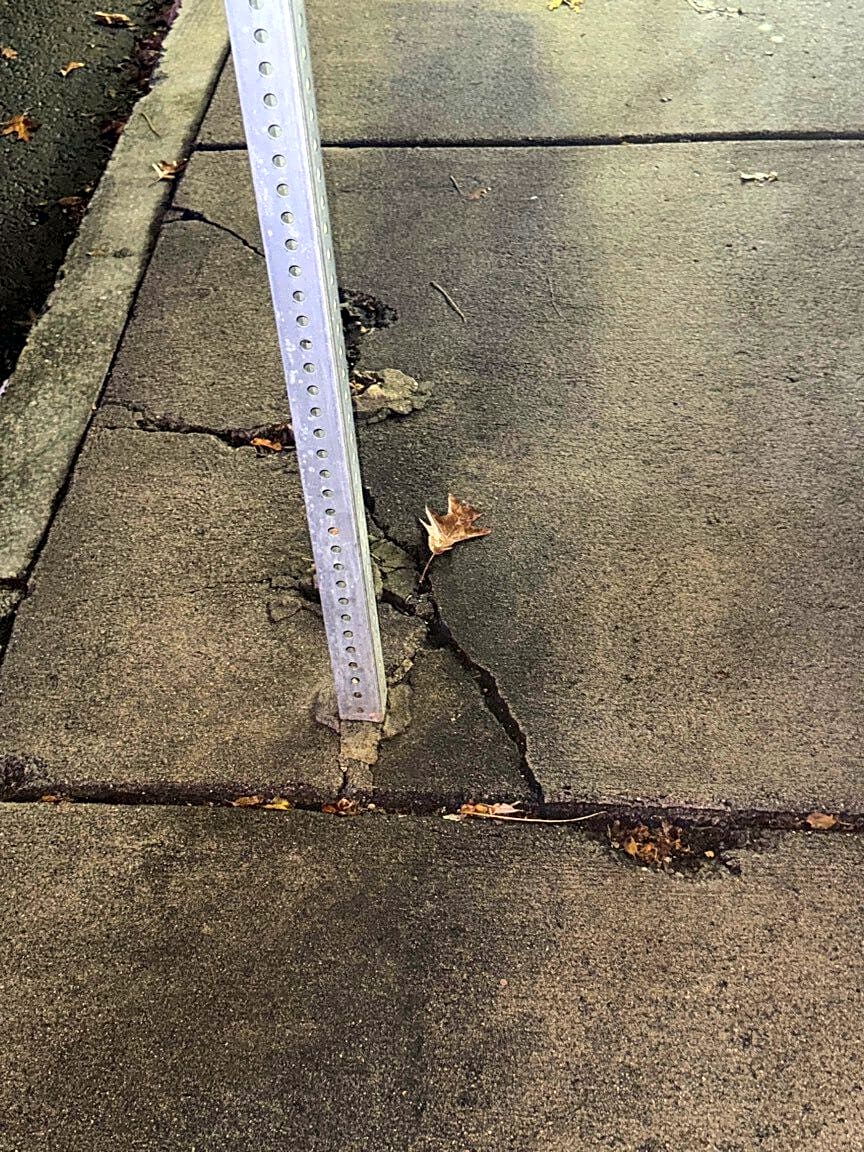 Image submitted with report