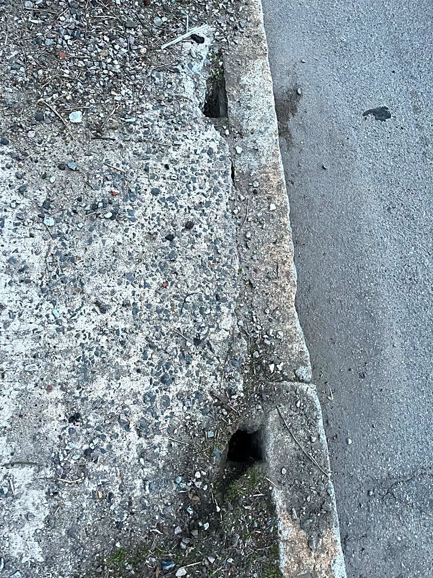 Image submitted with report