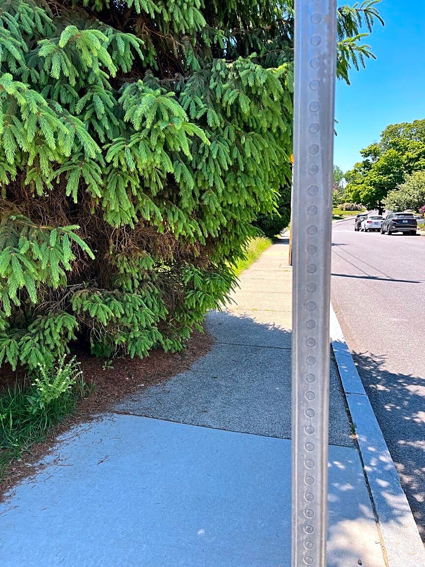 Image submitted with report