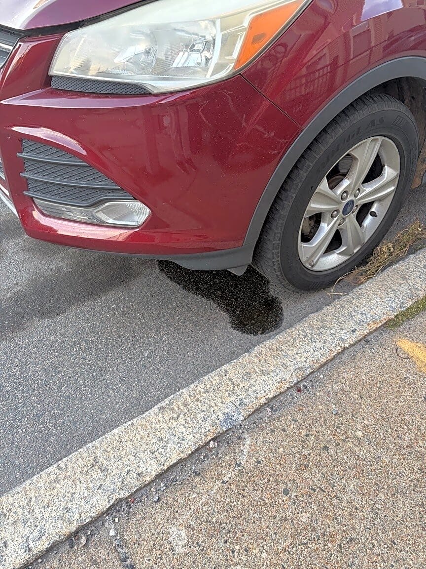 Image submitted with report