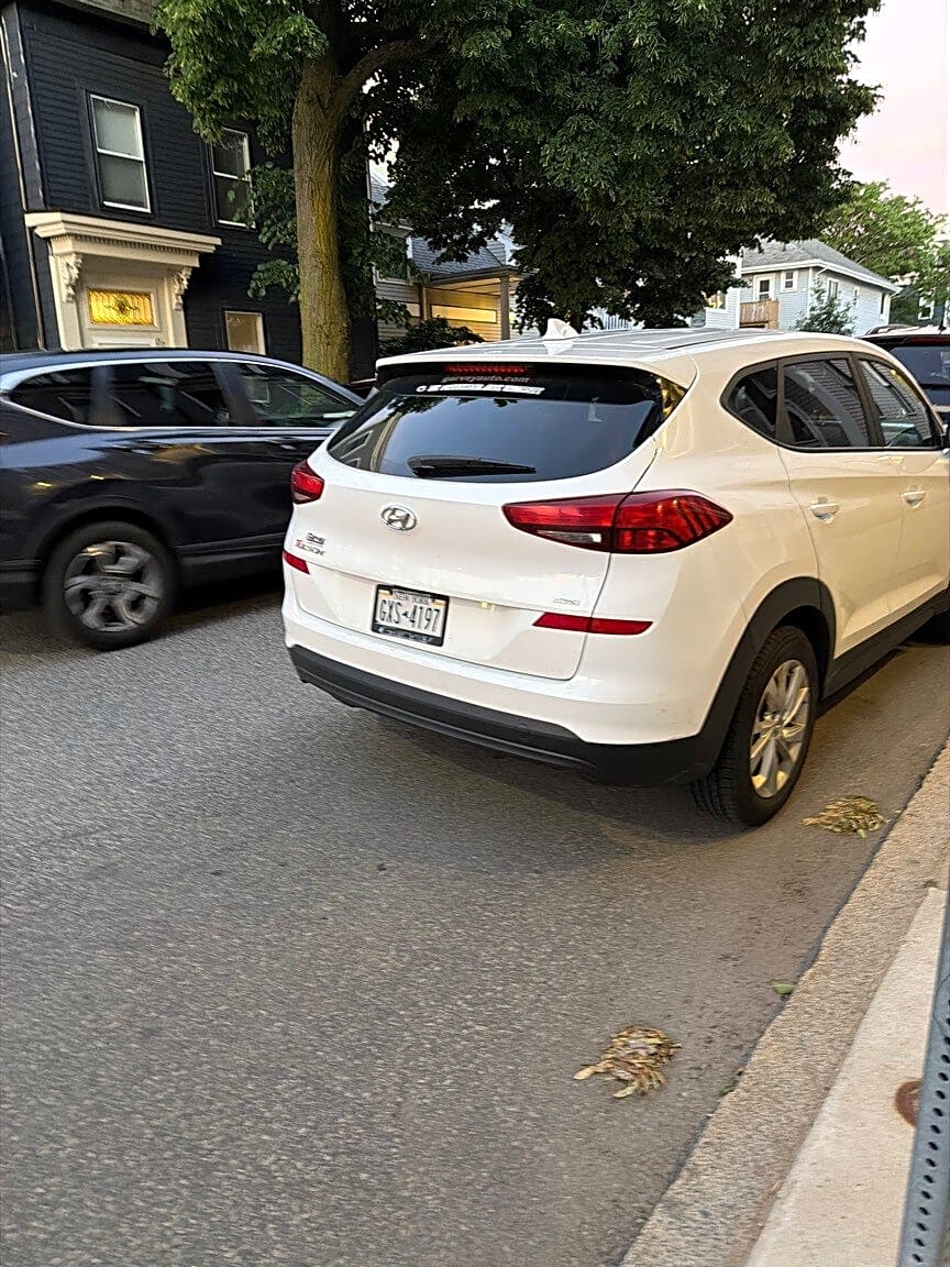 Image submitted with report