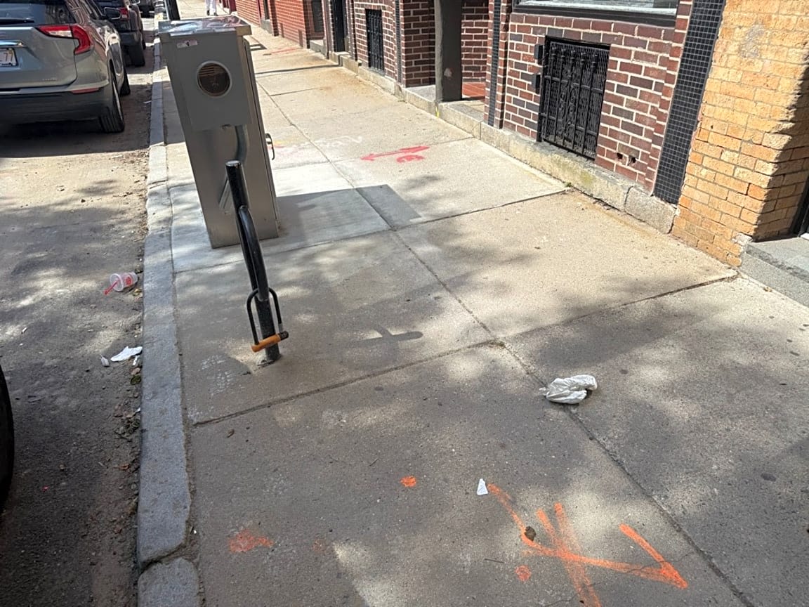 Image submitted with report