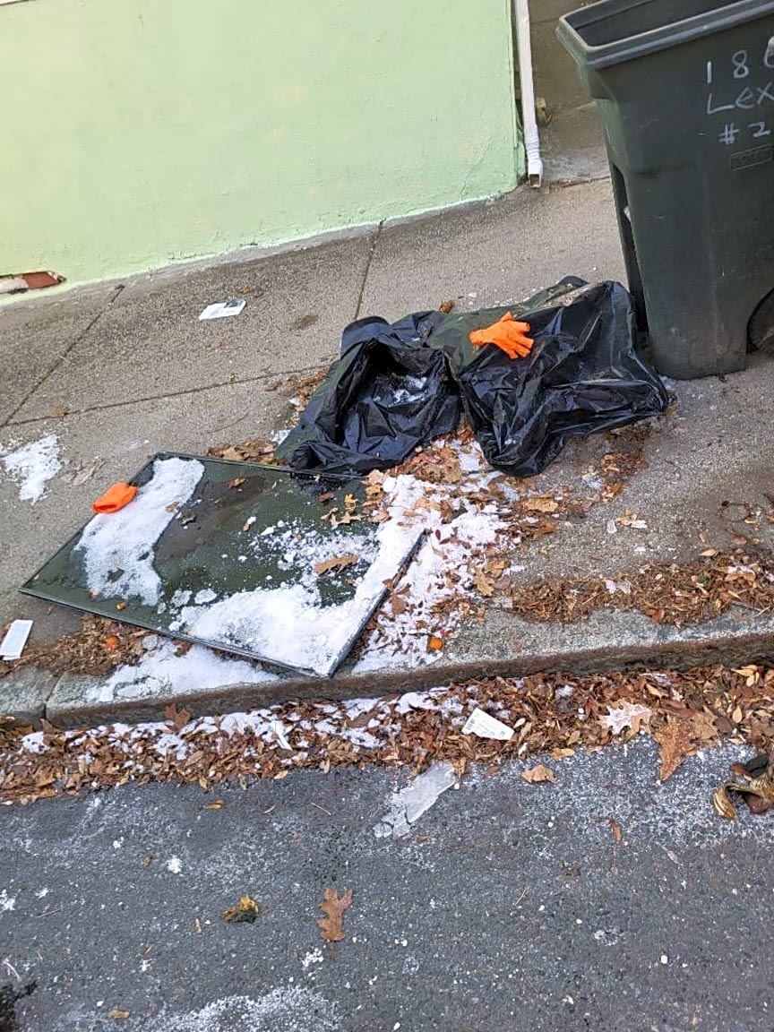 Image submitted with report