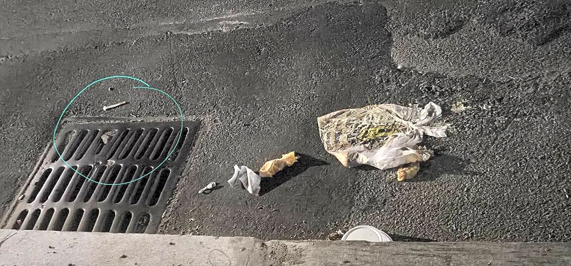 Image submitted with report