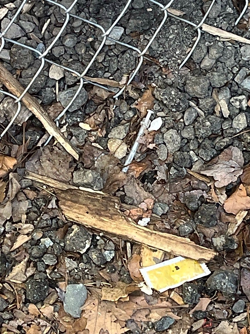 Image submitted with report