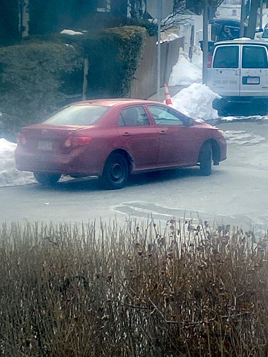 Image submitted with report