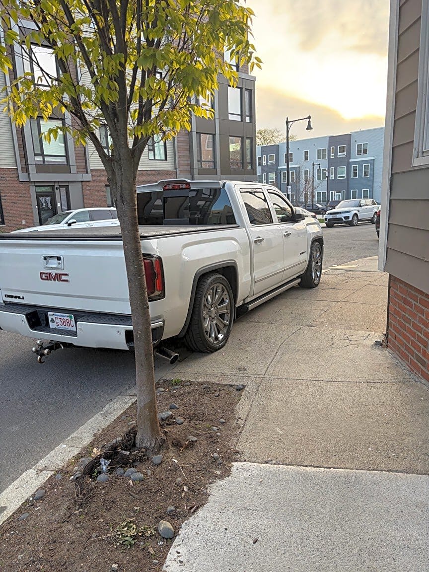 Image submitted with report