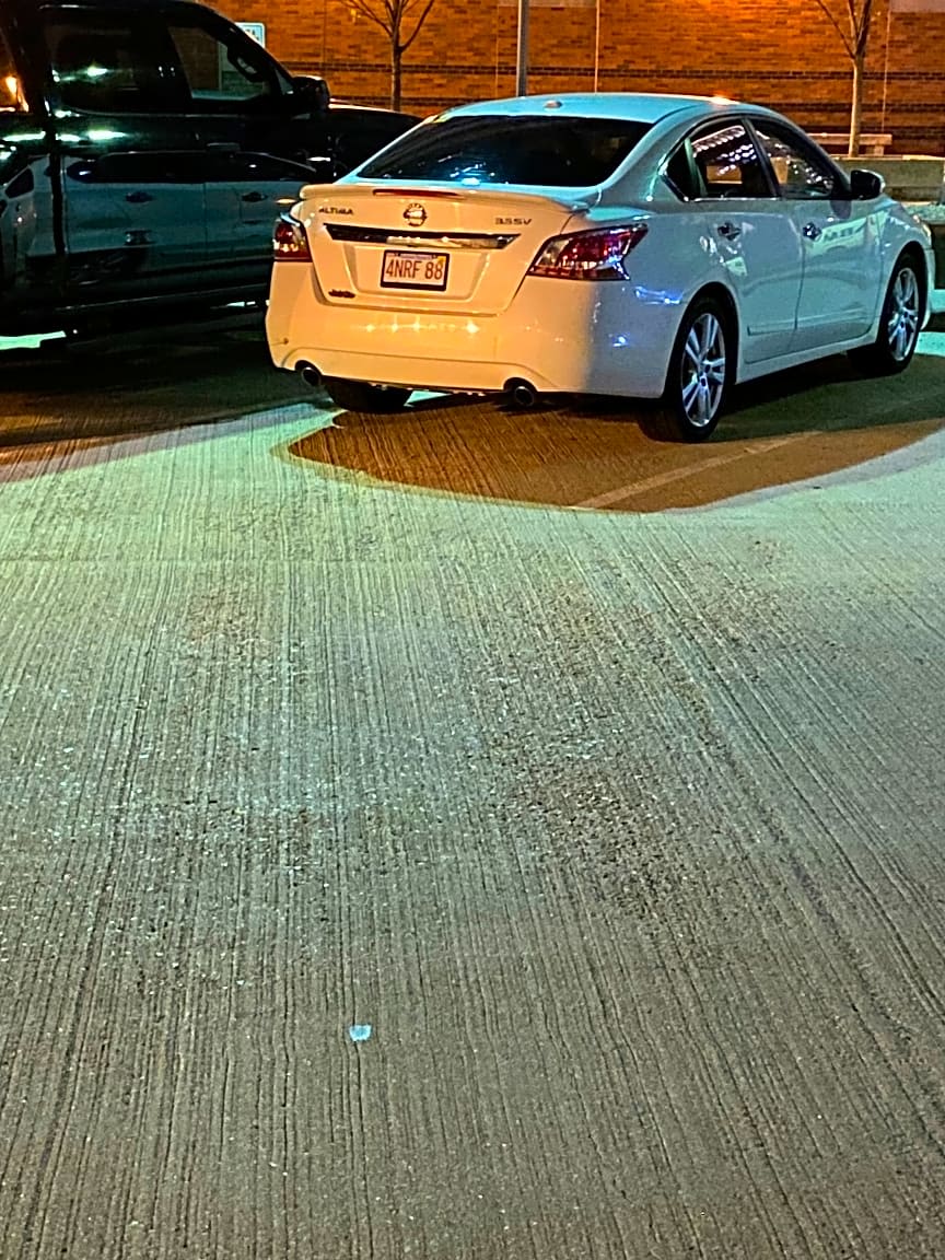 Image submitted with report