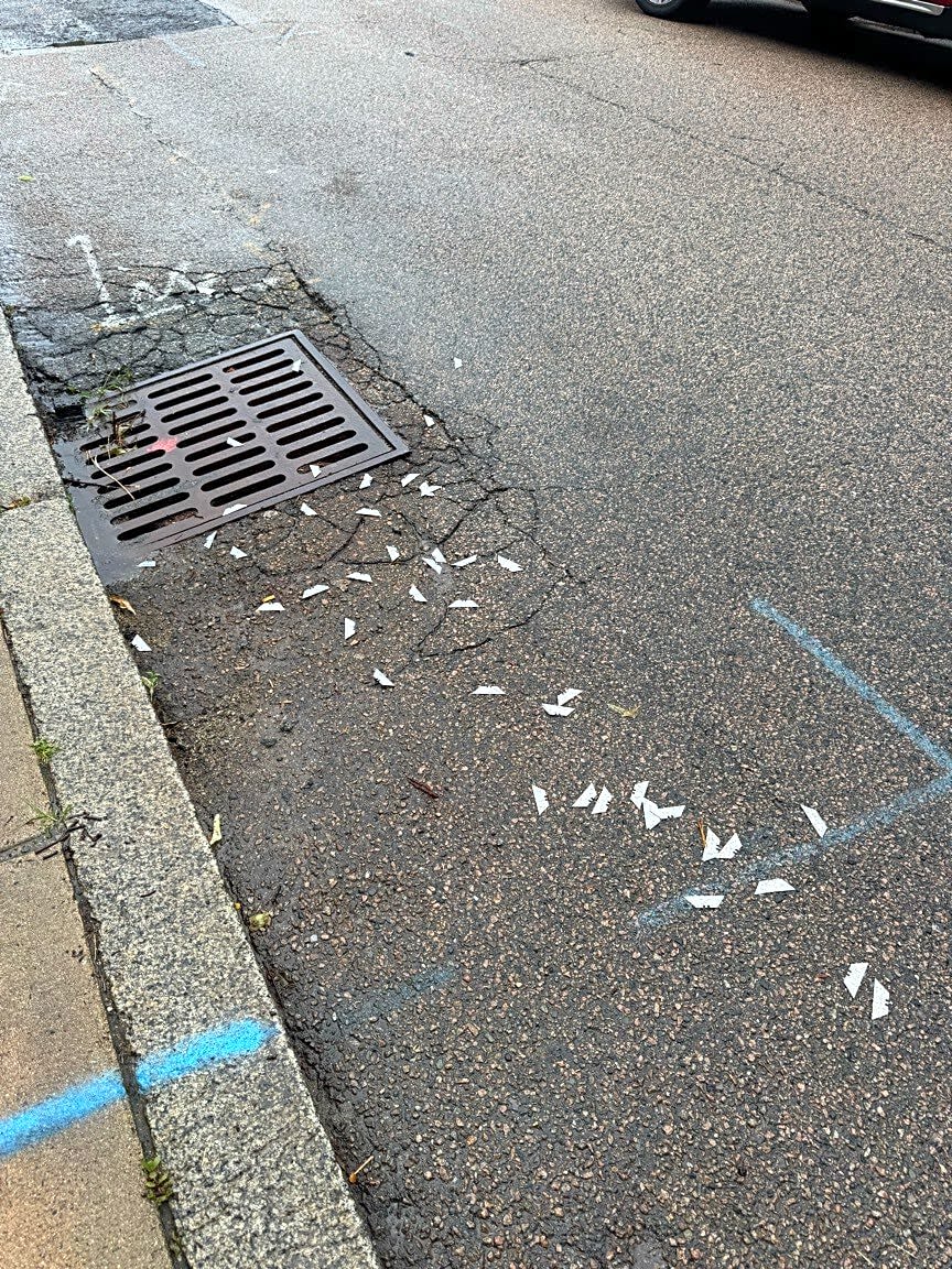 Image submitted with report