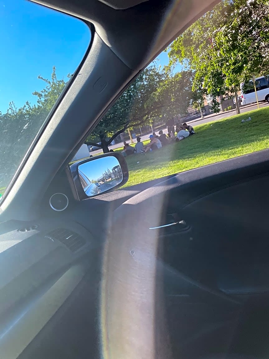 Image submitted with report