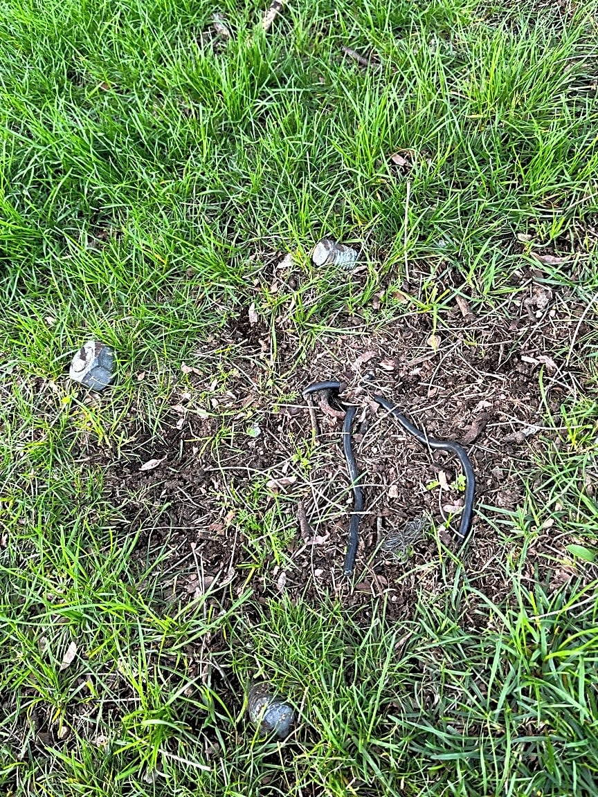 Image submitted with report