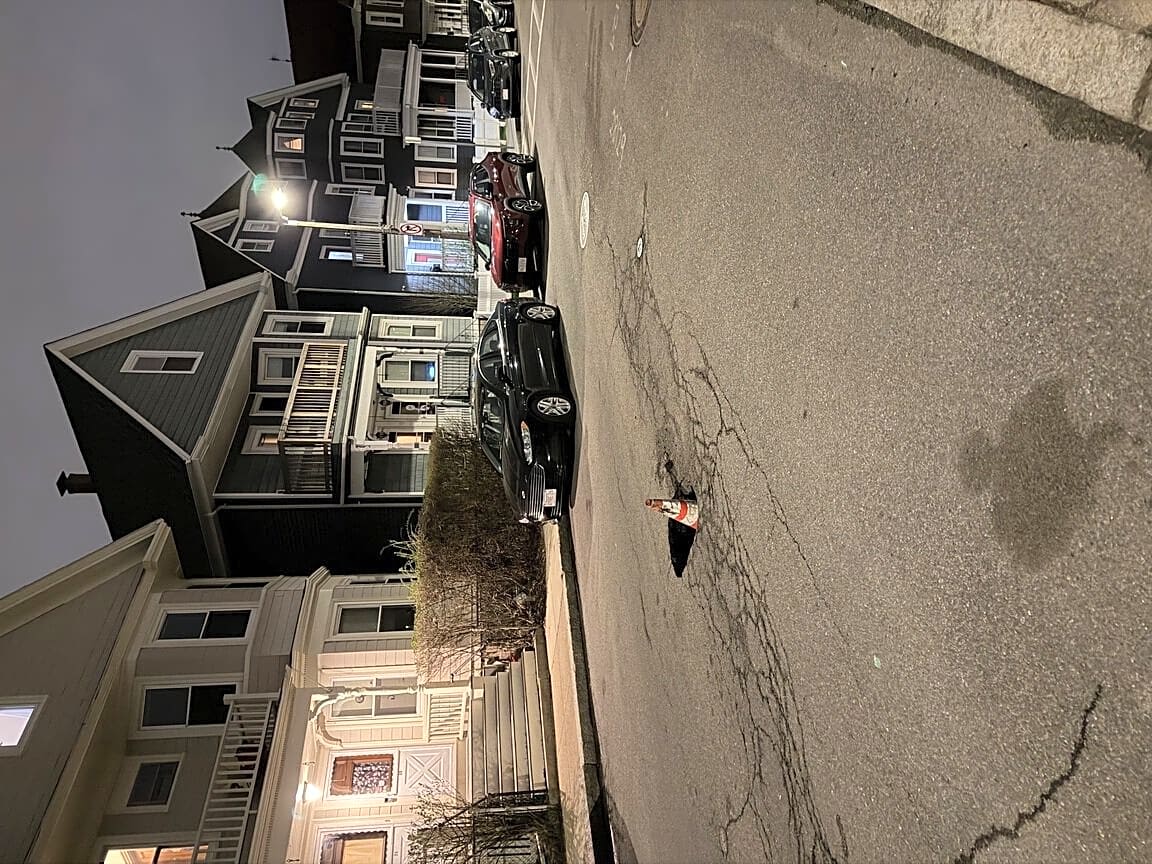 Image submitted with report