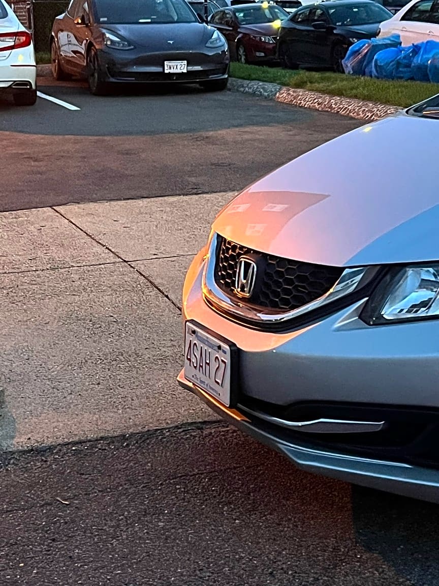 Image submitted with report