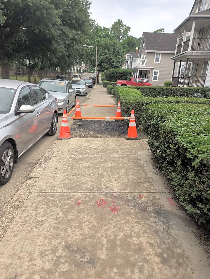 Image submitted with report
