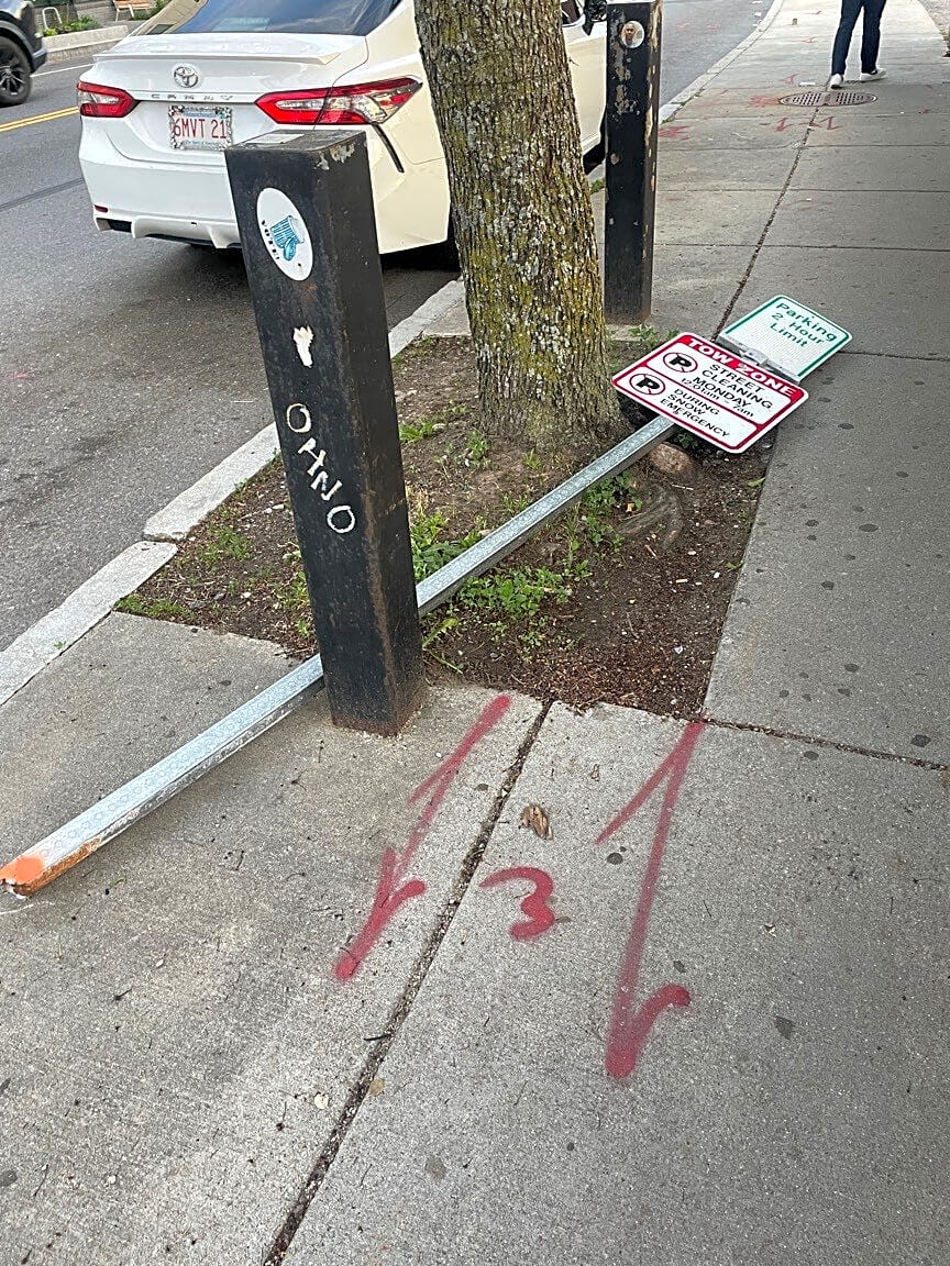 Image submitted with report
