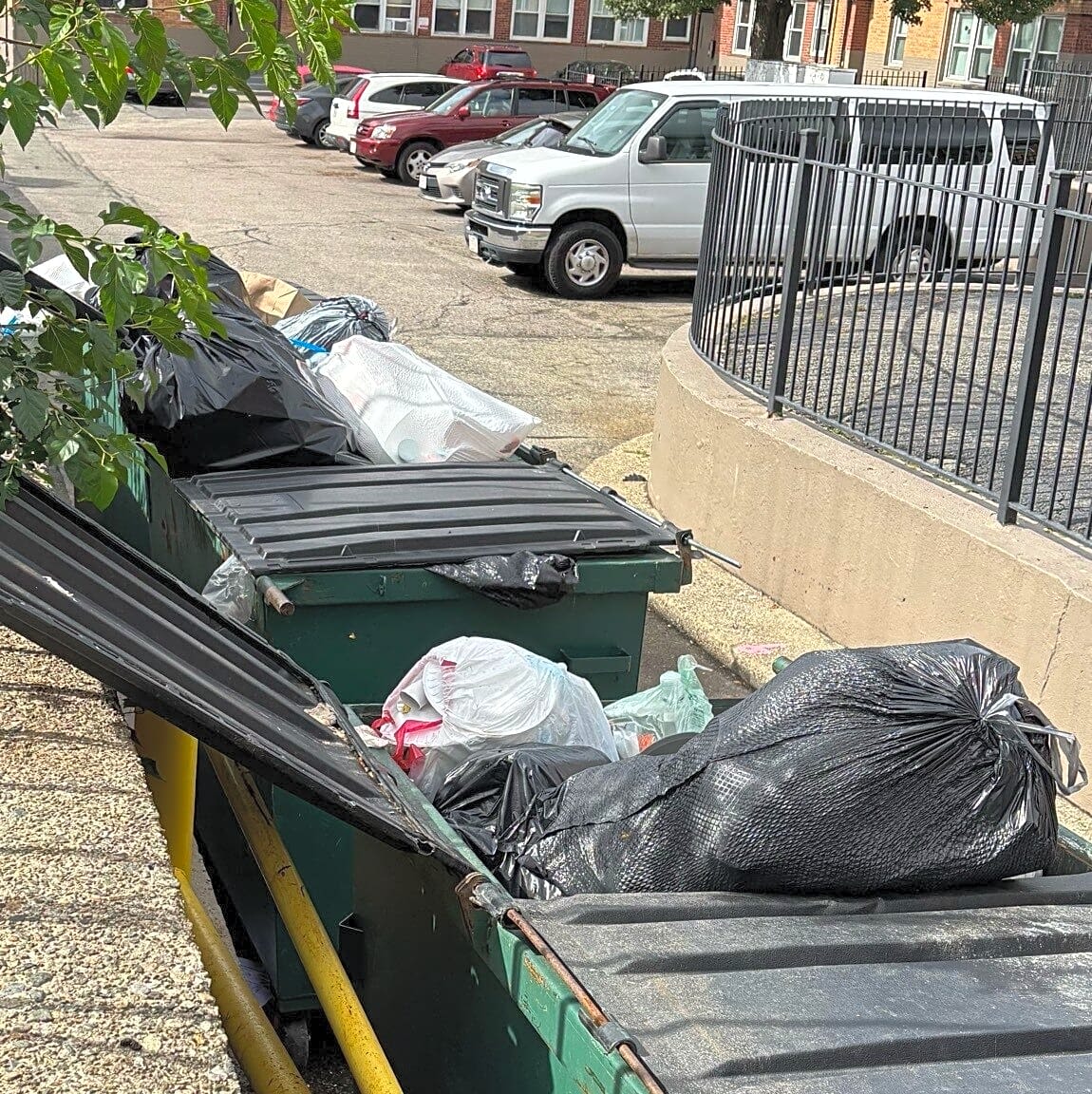 Image submitted with report