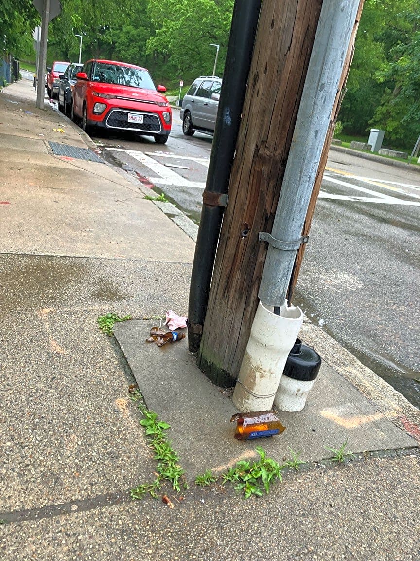 Image submitted with report