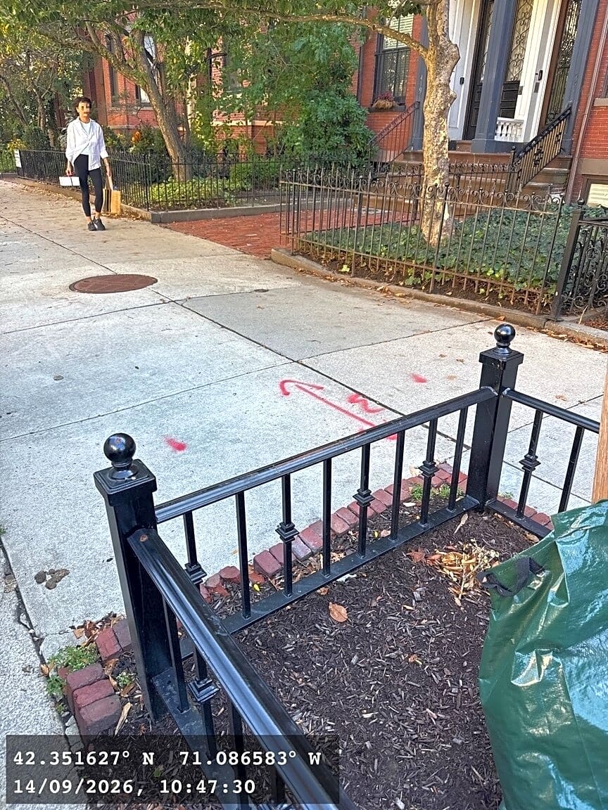 Image submitted with report