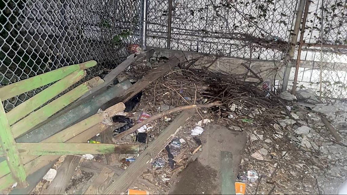 Image submitted with report