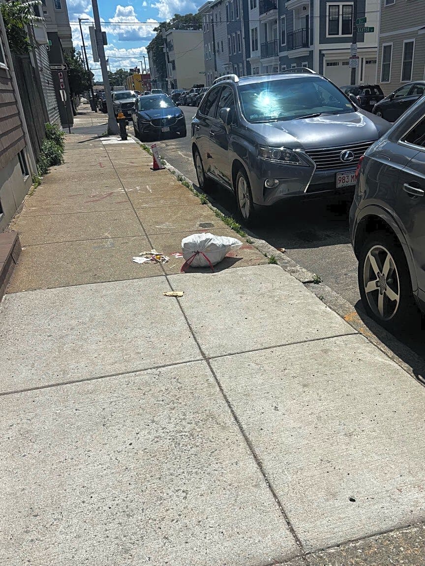 Image submitted with report
