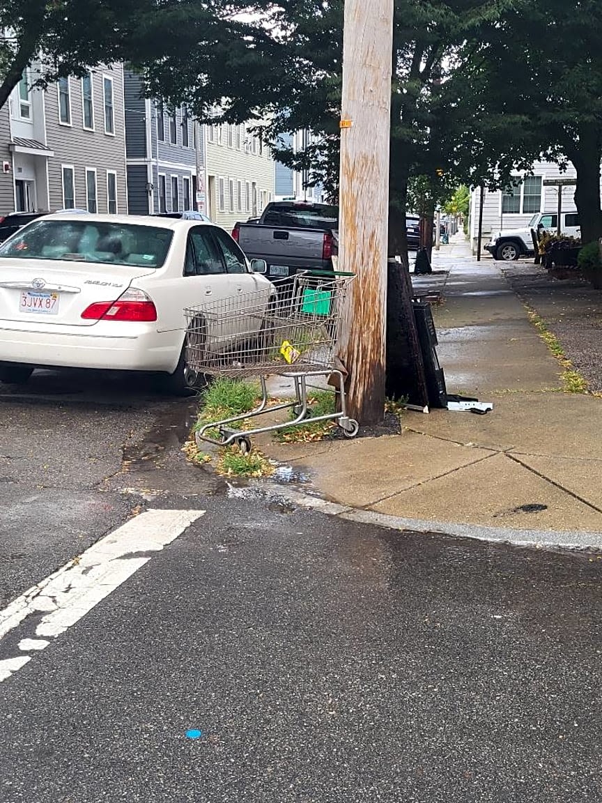 Image submitted with report