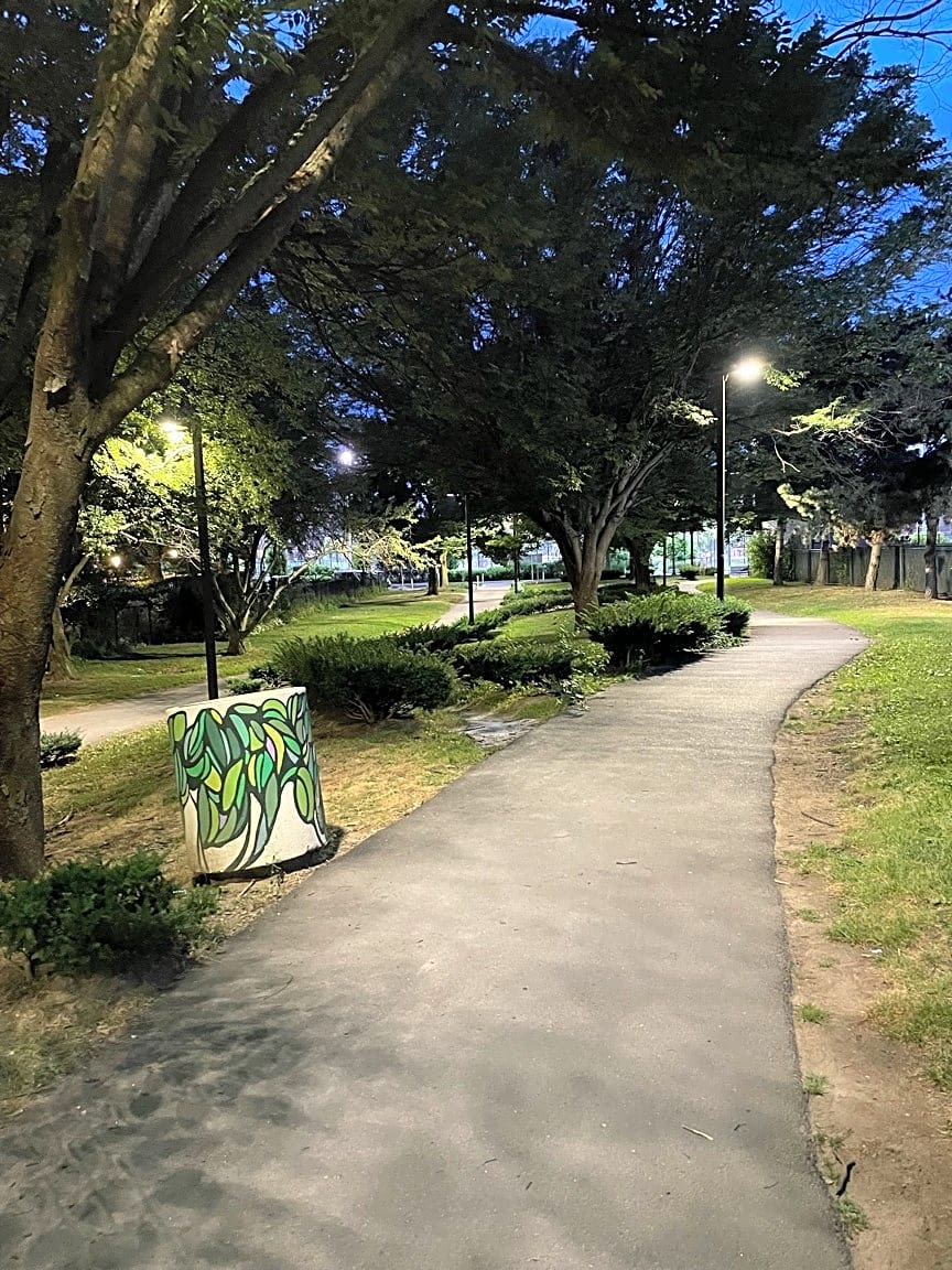 Image submitted with report