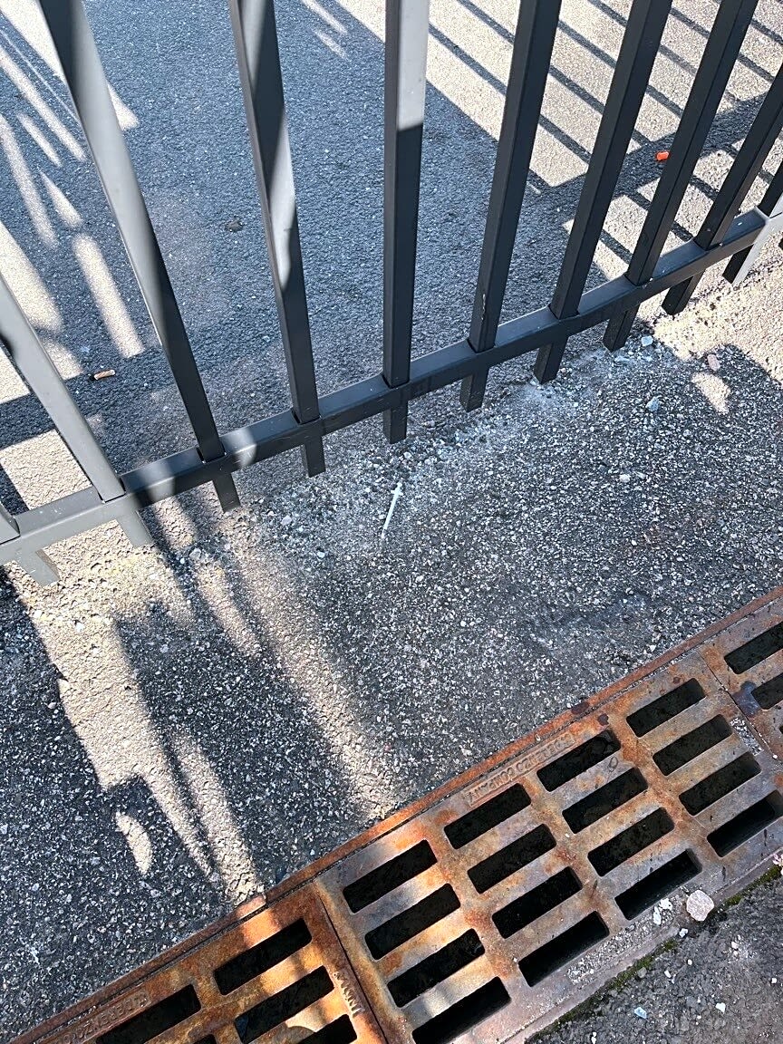 Image submitted with report