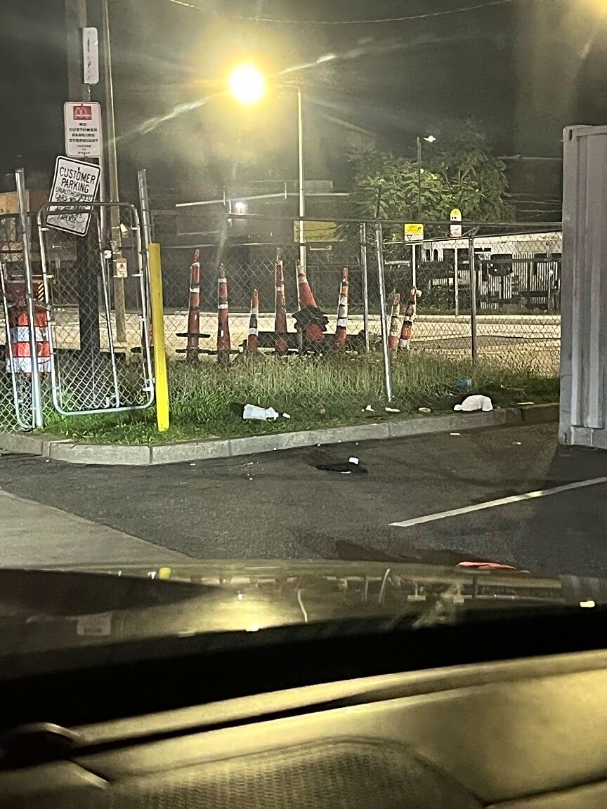 Image submitted with report