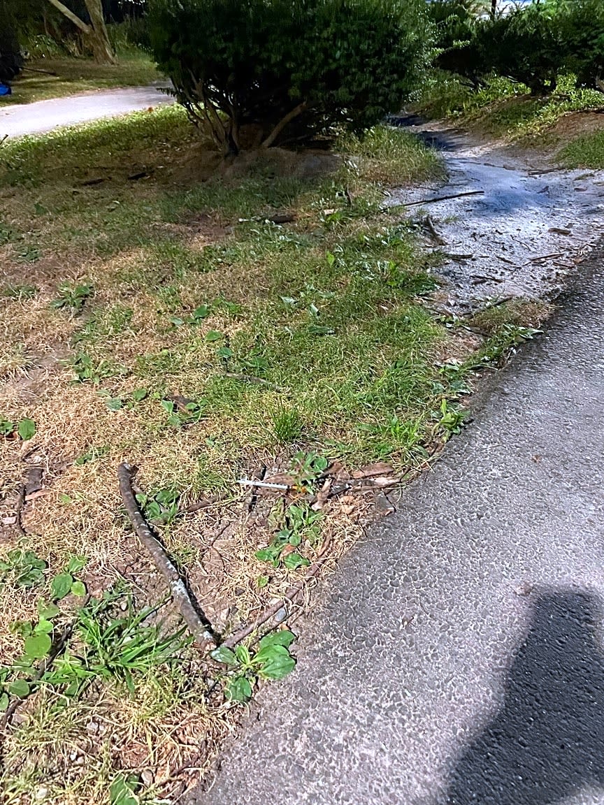 Image submitted with report