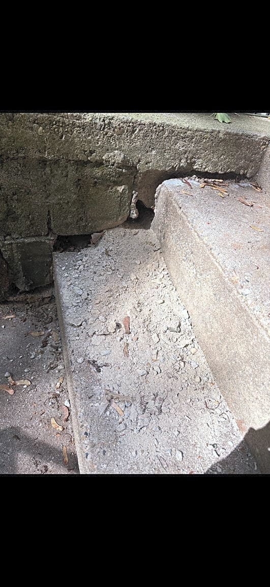 Image submitted with report