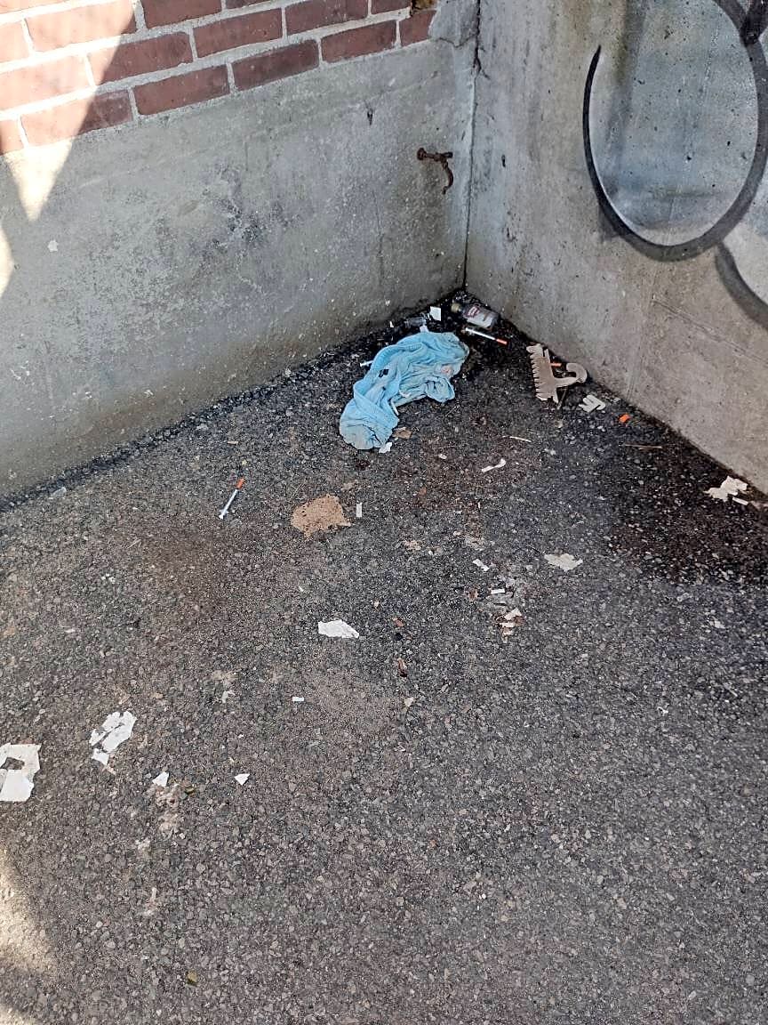 Image submitted with report