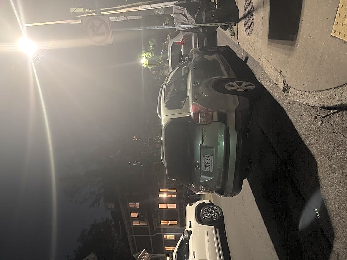 Image submitted with report