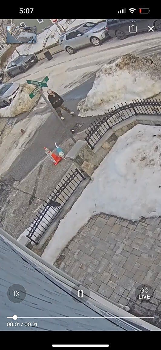 Image submitted with report