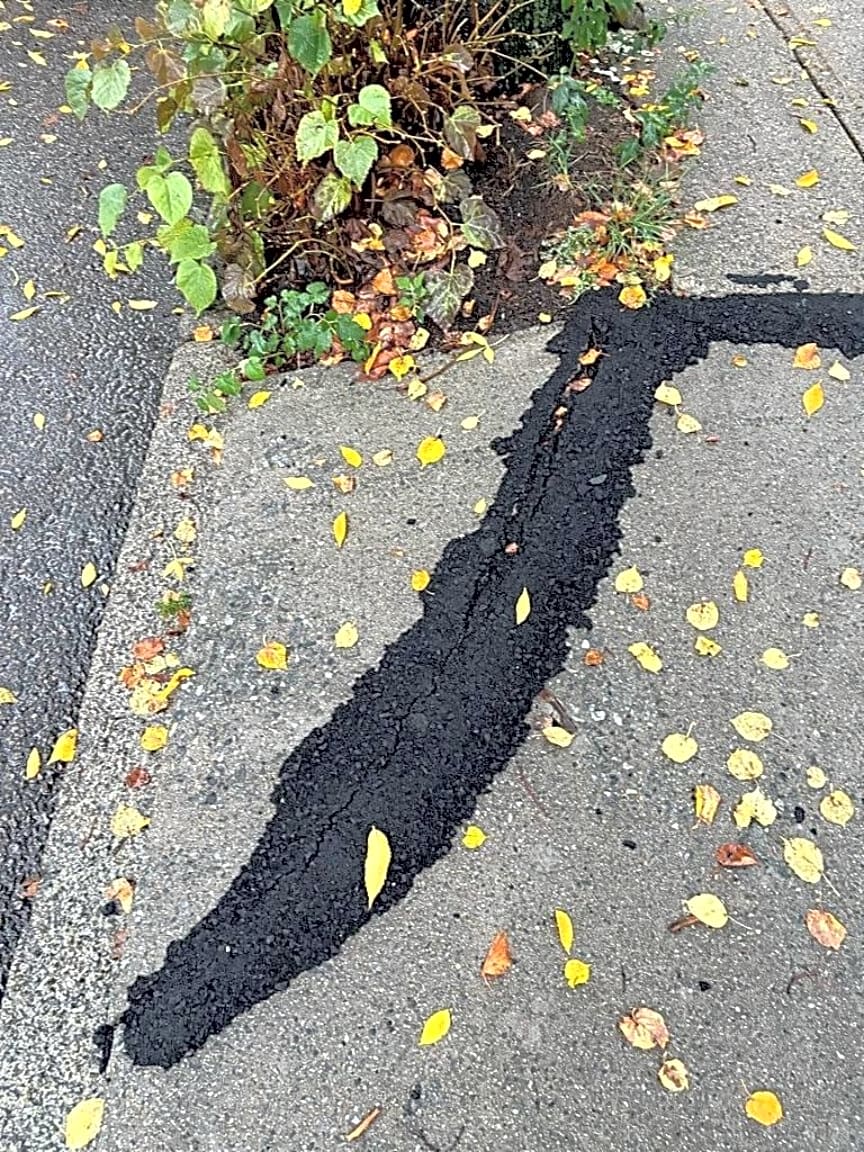 Image submitted with report