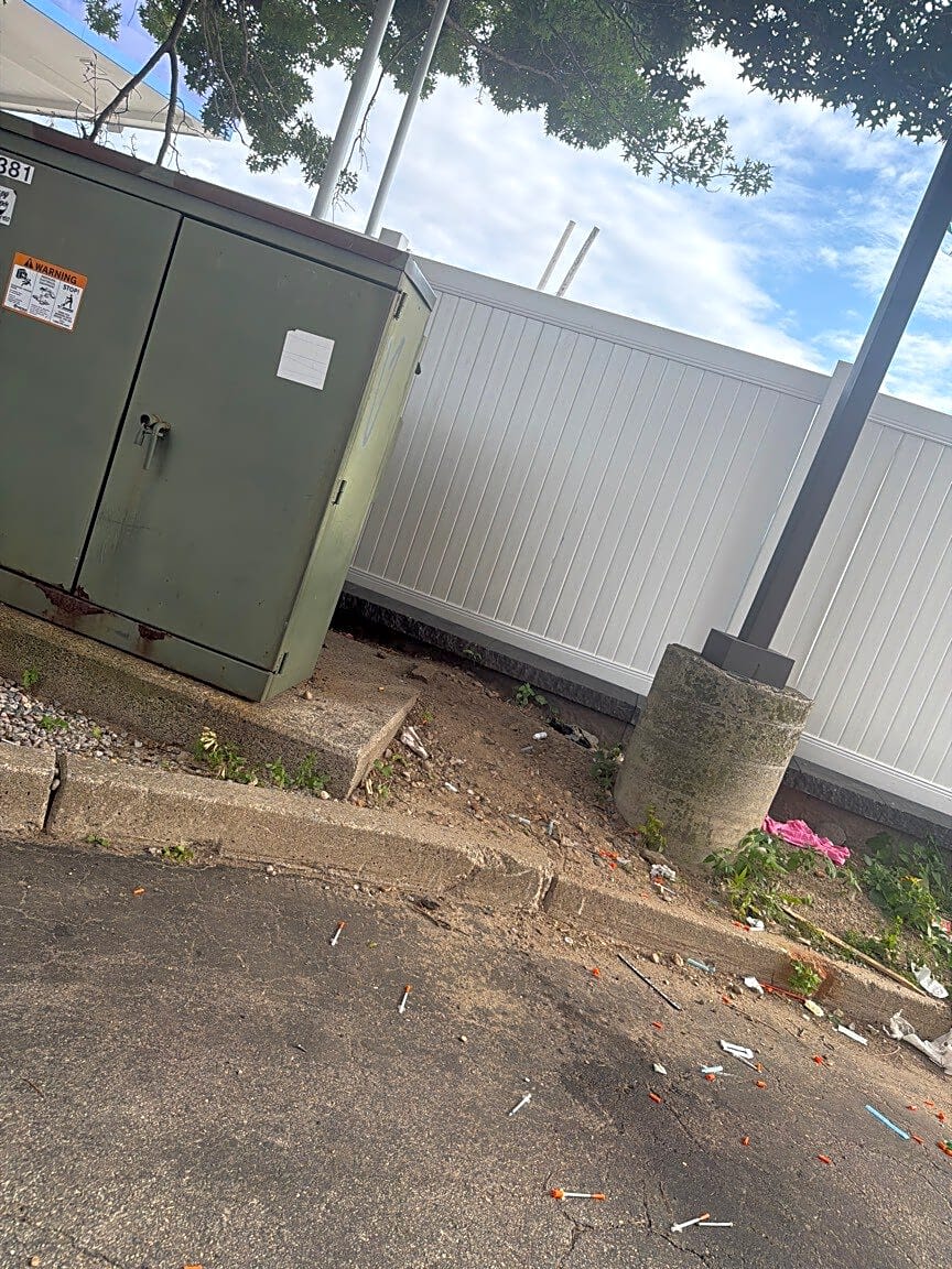 Image submitted with report