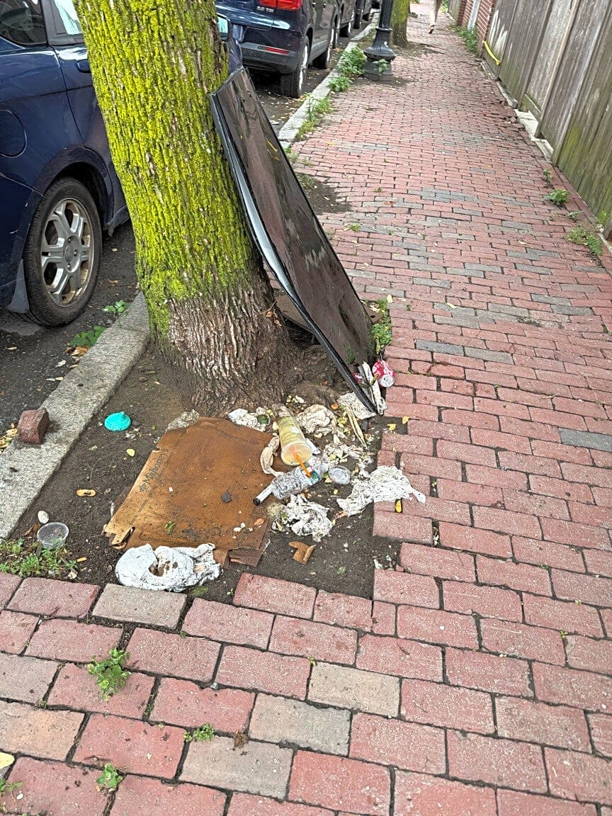 Image submitted with report