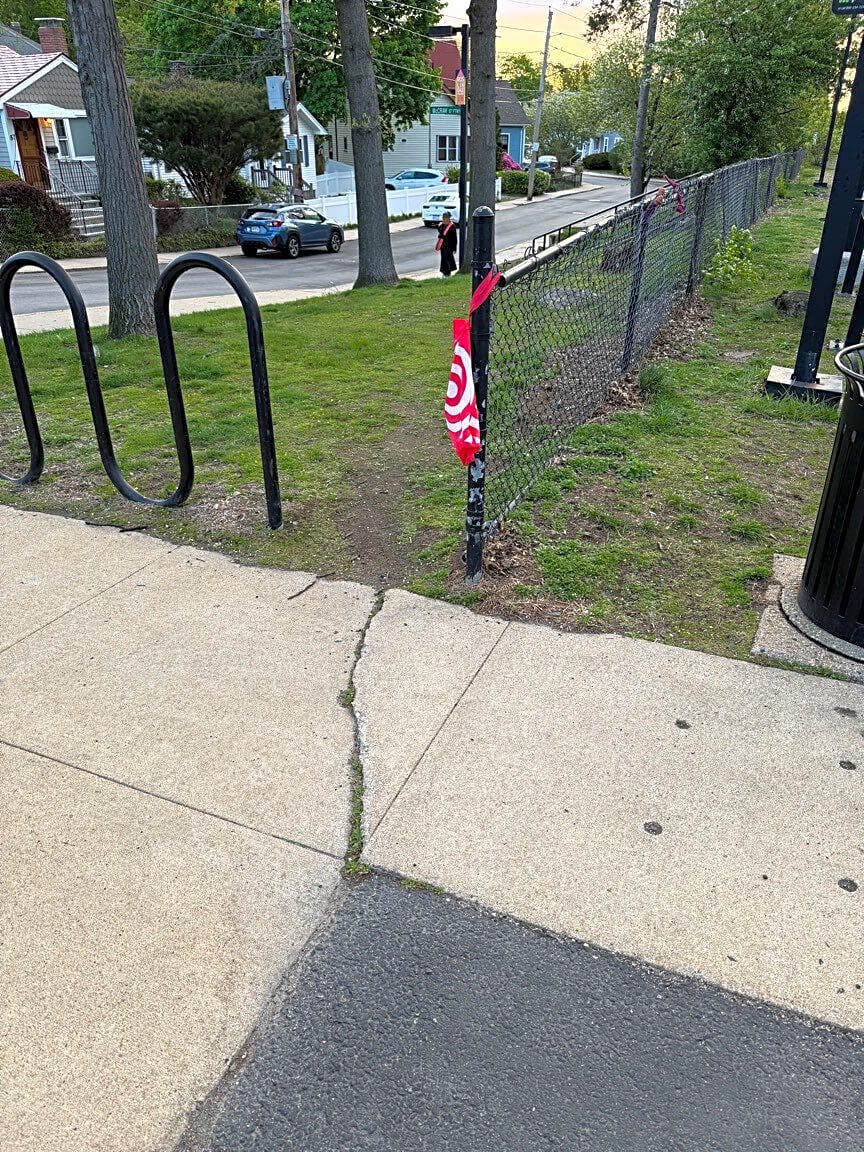Image submitted with report